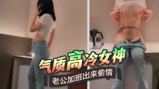 气质高冷女神老公加班出来偷情 - coolhot av