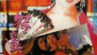 特区爱奴 - coolhot av