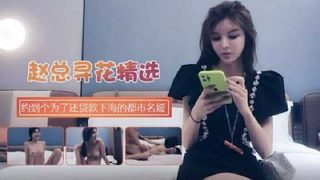 赵总寻花-约到个为了还贷款下海的都市名媛 - coolhot av
