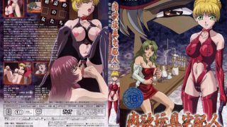 肉欲玩具宅配人 VOL.3 [中文字幕] - coolhot av