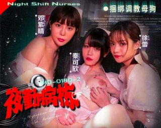 MD-0180-2_夜勤病栋捆绑调教母狗 - coolhot av