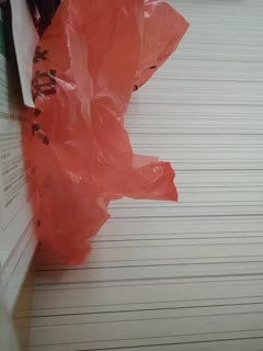 看自己老婆被操 - coolhot av