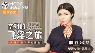 空姐的飞淫之旅-困顿篇  负债空姐下海初体验 - coolhot av