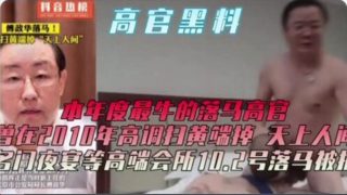 网曝高官黑料，年度最牛的落马高官 - coolhot av