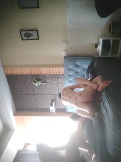    两对夫妻换妻活动，这次活动由于有一个绿帽老公_由于鸡巴阳痿了全程拿着相机拍摄，还找两个领导一起操老婆。绿帽老公只在旁边辅助，看老婆被操的结合处。(2). - coolhot av