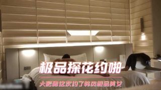 极品探花约啪，大肥猪这次约了个韩风极品美女 - coolhot av