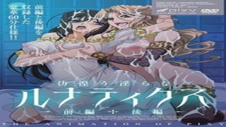 彷徨う淫らなルナティクス ～后编～ - coolhot av