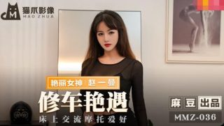 MMZ-036 修车艳遇 - coolhot av