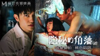 MD-0200-1 隐秘的角落-上集 - coolhot av