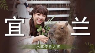 吴梦梦 宜兰之水豚疗愈之旅 - coolhot av