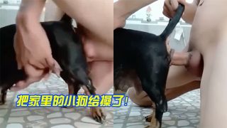    把家里的小狗给操了！ - coolhot av