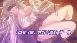    【中文字幕】性奴隷調教 第一集 - coolhot av
