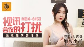 MDX0153 视讯会议的打扰 - coolhot av