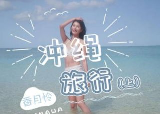 JD141_冲绳旅行上 - coolhot av