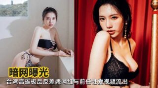 台湾高雄极品反差婊网红与前任性爱视频流出 - coolhot av