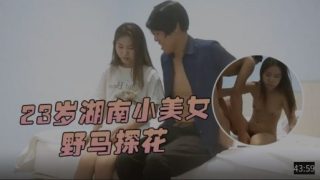 野马探花-爆操23岁湖南清纯小美女 - coolhot av
